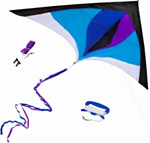 60" Delta kite for kids